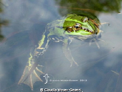 just hanging around - have a nice weekend!!! by Claudia Weber-Gebert 